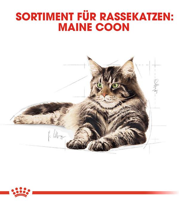 ROYAL CANIN® Trockenfutter für Katzen Maine