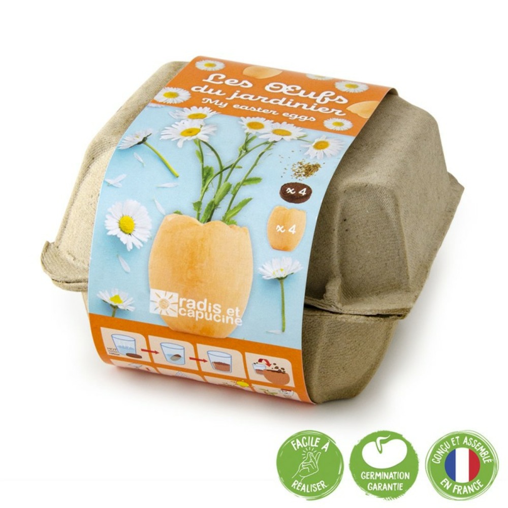 Kit de plantation 4 oeufs de pâques avec fleurs