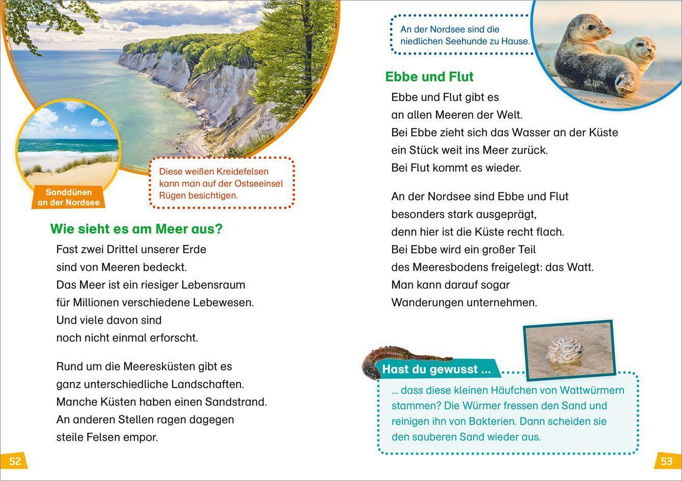 Natur entdecken und schützen / WAS IST WAS Erstes Lesen Bd.4