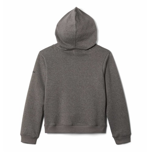 Columbia - COLUMBIA TREK HOODIE - Gris