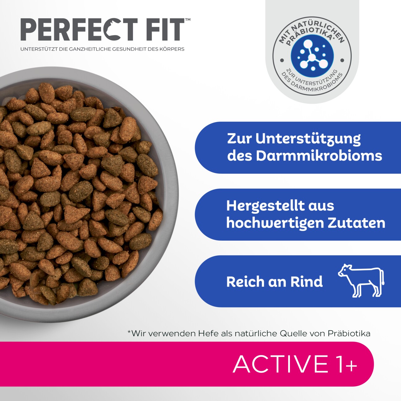 PERFECT FIT Active 1+ mit Rind 6x750 g