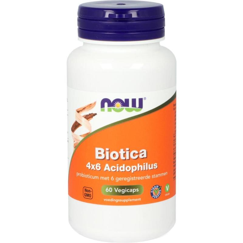 Now Probiotica 4 x 6 Acidophilus 60 capsules