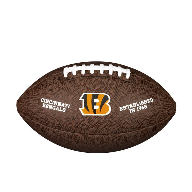 NFL Backyard Legend Football