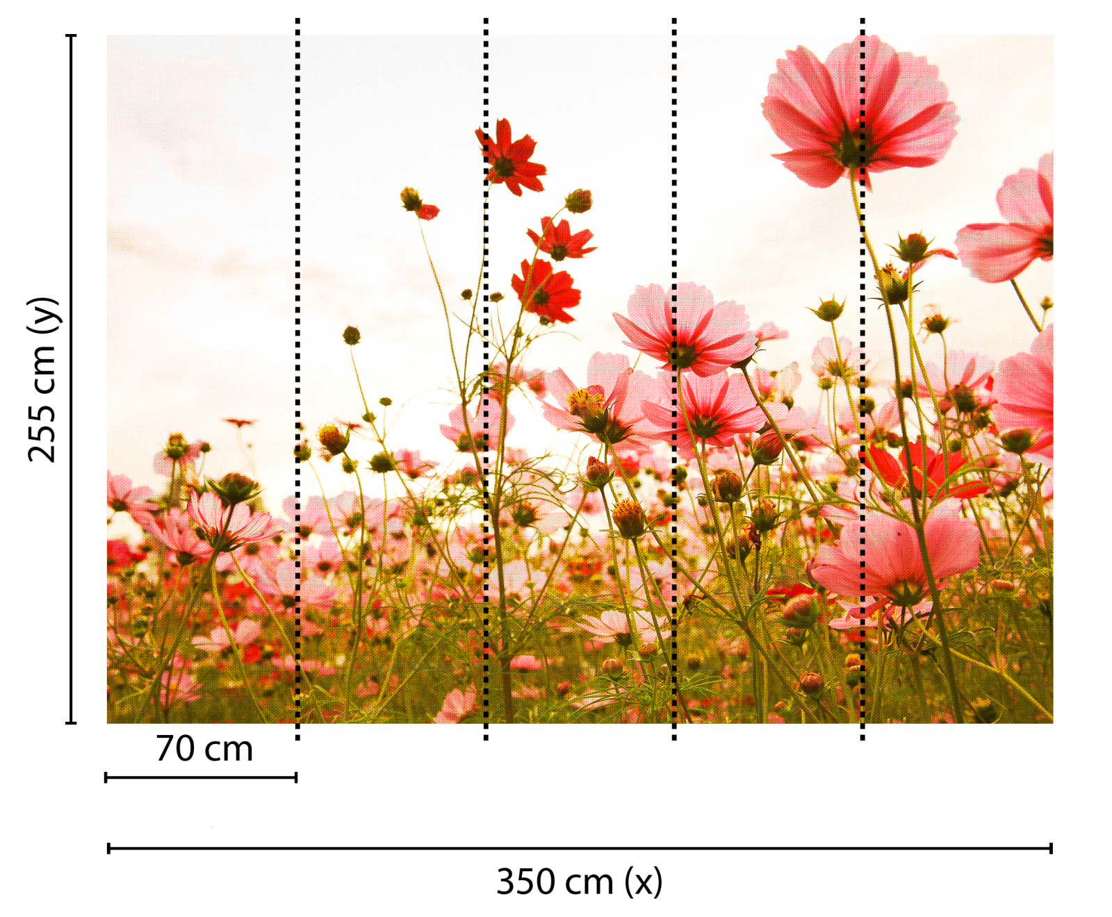 Fototapete DESIGNWALLS - rosa-grün - Blumen - 2,55 Meter