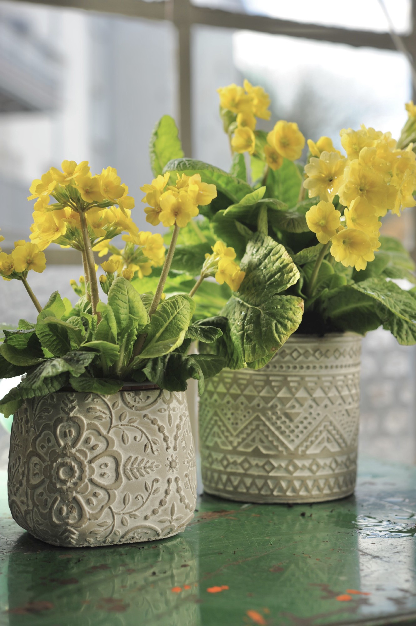 Zementtopf 'Pouvoir de fleurs' S, grau, whitewash, Ø 12 cm, H 10 cm günstig bestellen