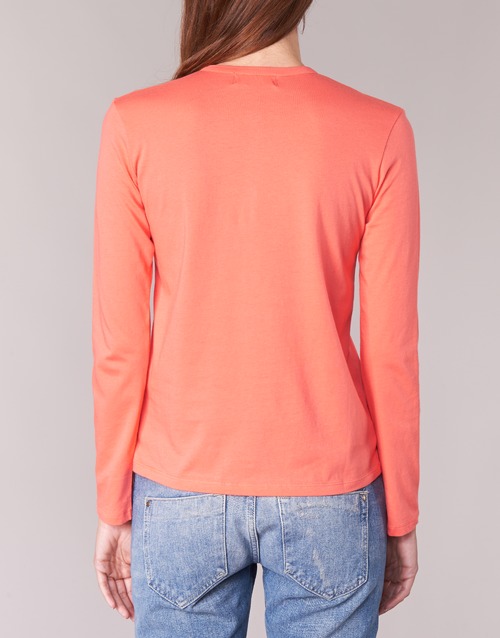 BOTD - EBISCOL - Orange