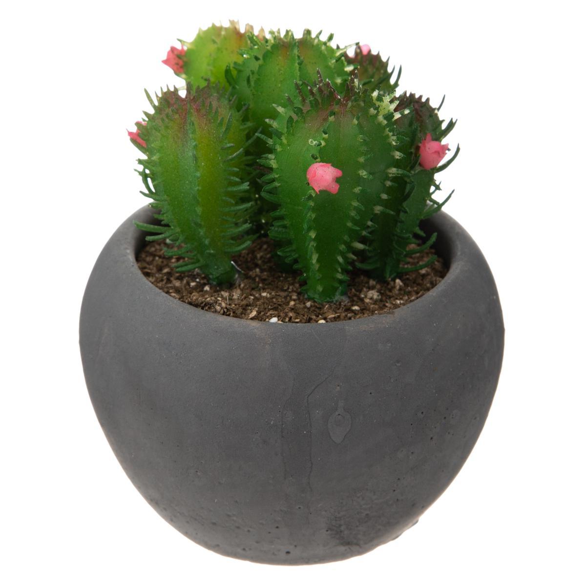 CACTUS POT CIMENT NOIR D.6.5CM
