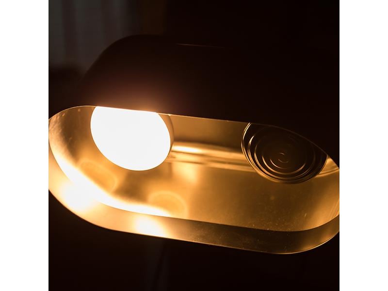 Repti Planet Reflektorlampe Dual Dome 14 cm 2 x 150 W Doppellampe mit Keramiksockel und angeschlossenem Reflektor und Belüftungsöffnungen