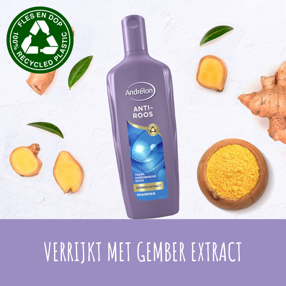 6x Andrelon Shampoo Anti Roos300 ml