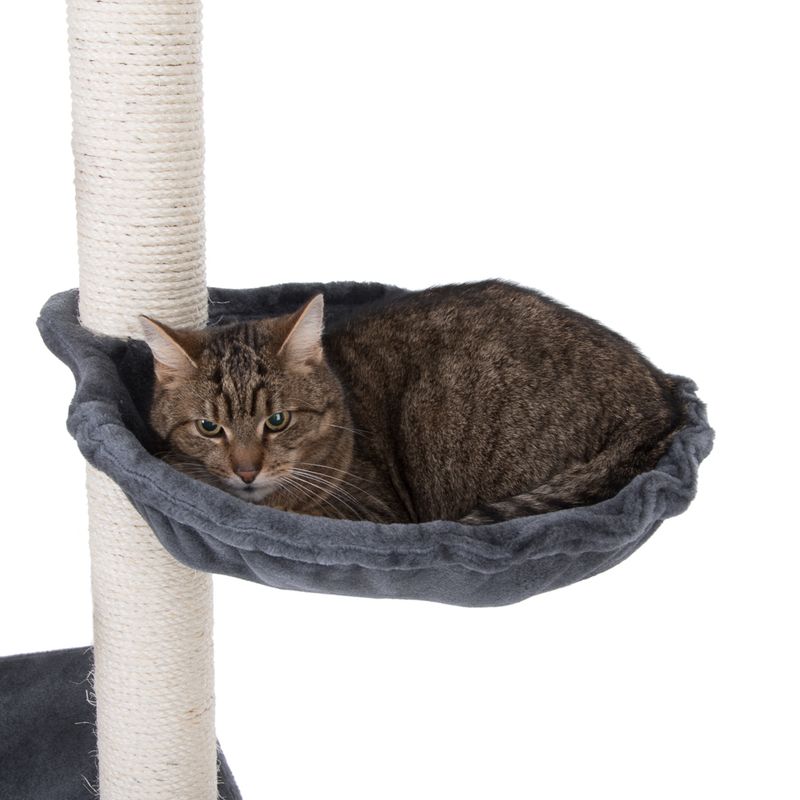 Arbre à chat Atlas
