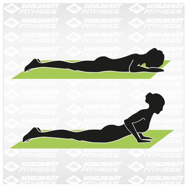 Schildkröt Fitness - Yoga Mat 4mm Bicolor