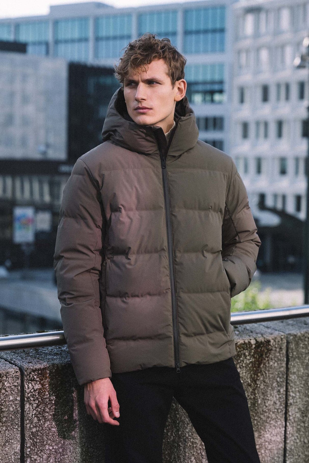 Scandinavian Edition<br>Torrent