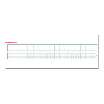 Exacompta - Piqûre tête paresseuse - 30 colonnes sur 2 pages - 27 x 32 cm