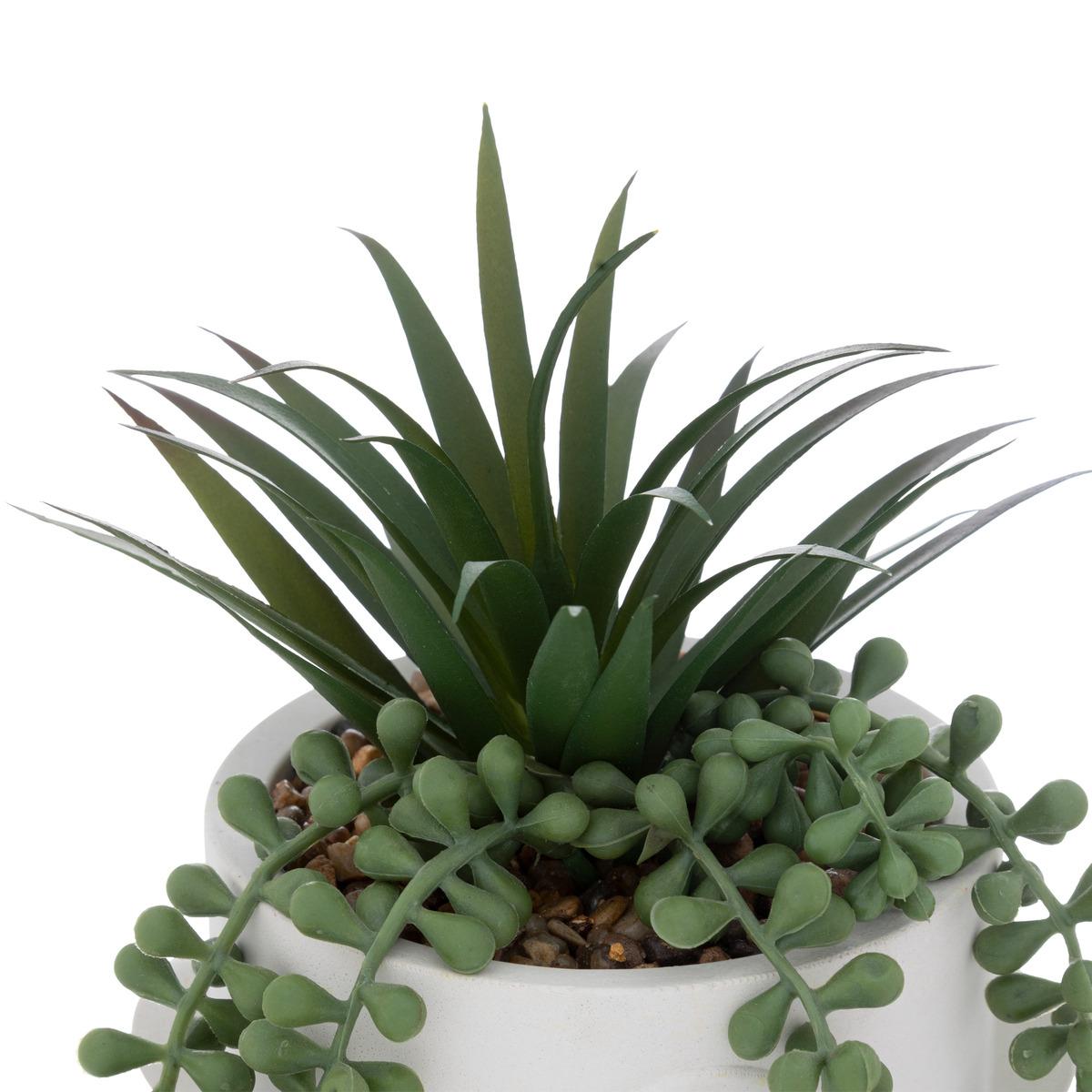 PLANTE VISAGE POT CIMENT BLANC H.25CM