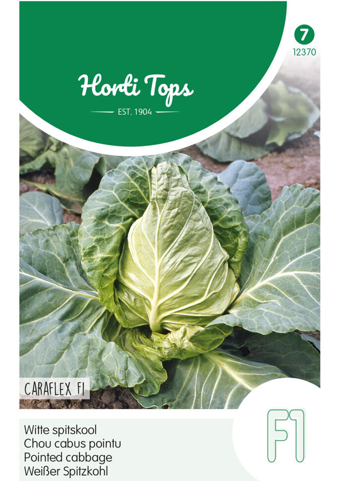 Hortitops Witte kool Brassica oleracea Caraflex (vh Capricorn) - Groentezaden