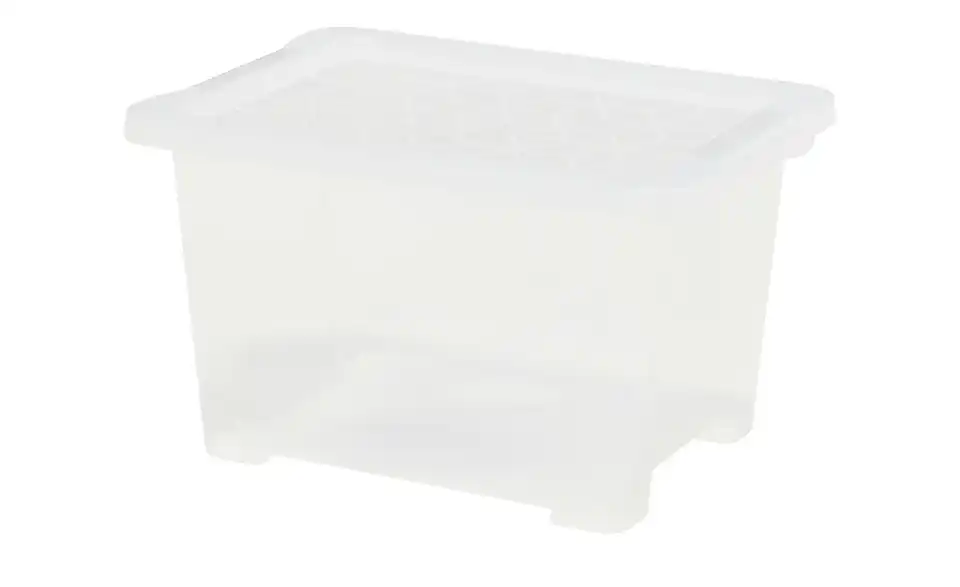Rotho Aufbewahrungsbox 22,8 cm