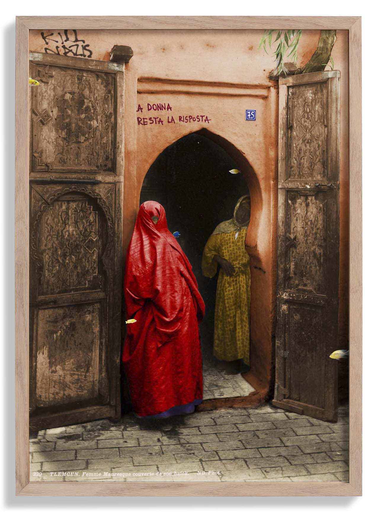 Tlemcen von corentin sauvage