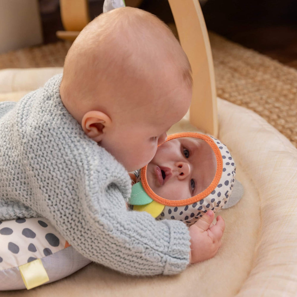 Køb Ingenuity Every Season™ Plush Lambswool Play Gym
