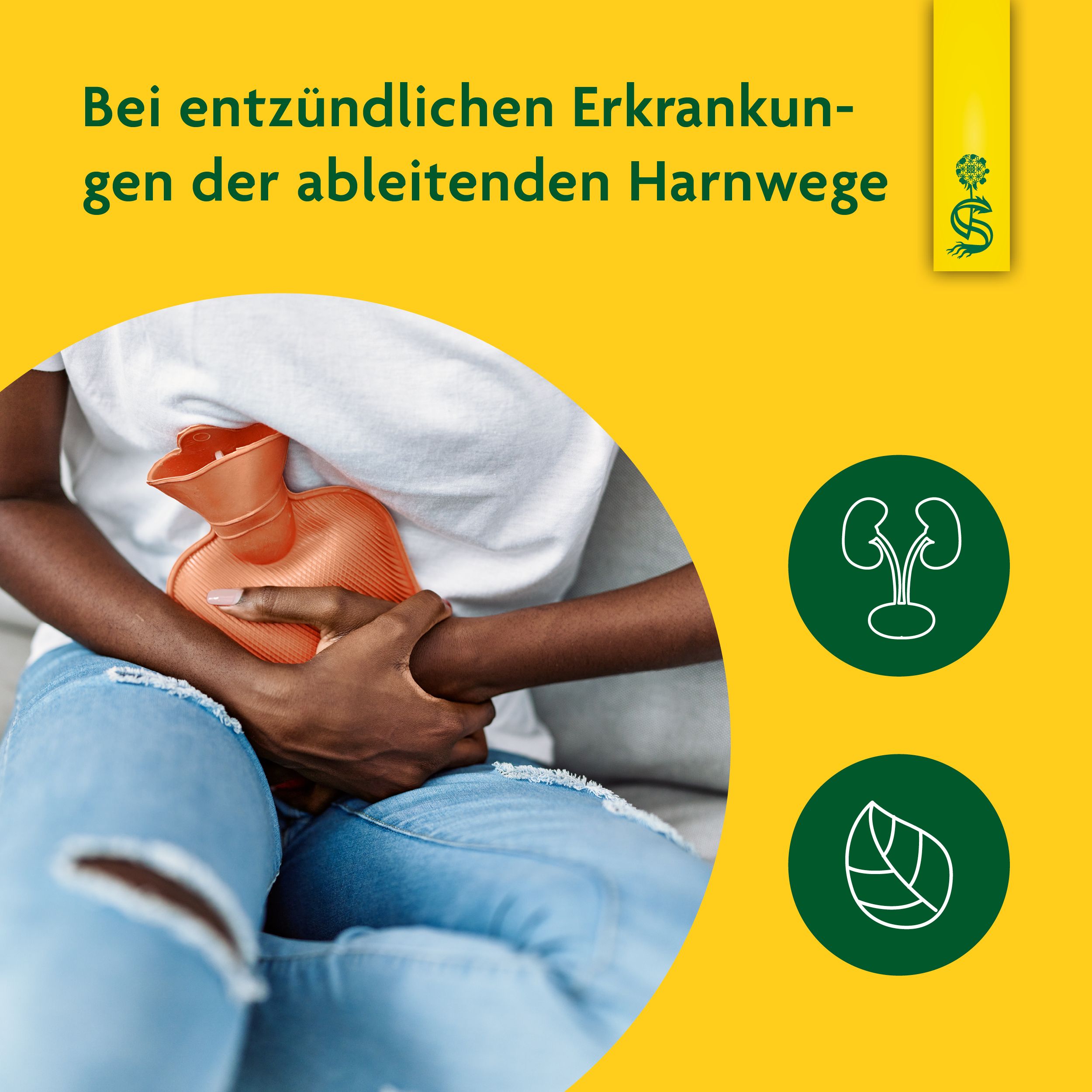 Schoenenberger® naturreiner Heilpflanzensaft Birke