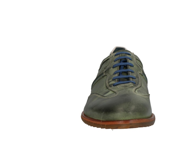 Will Lester 36305 Groen