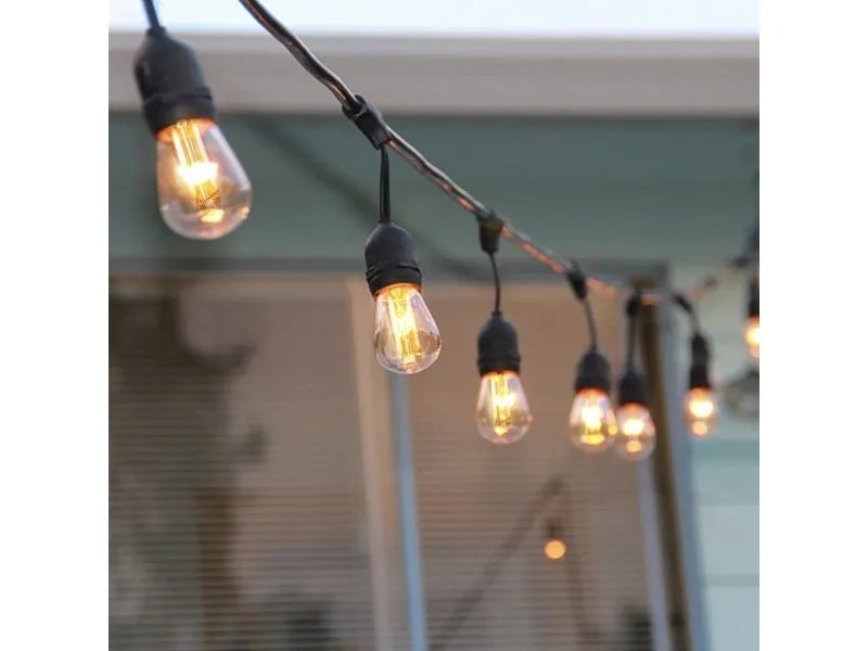 Vintage Edison Smart Light Chain - Voice Controlled LED Lights for Outdoor Use