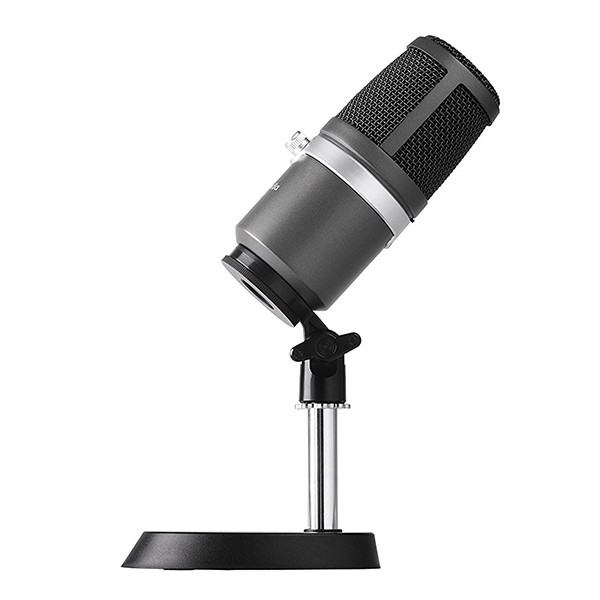 AVerMedia Technologies MICROPHONE USB AM310