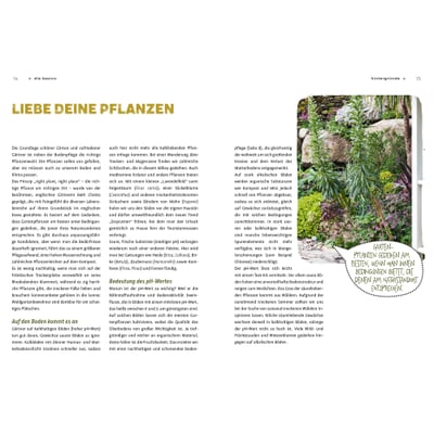 Garten ohne Gießen