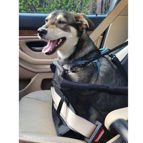 Bilsete for hund / katt - svart