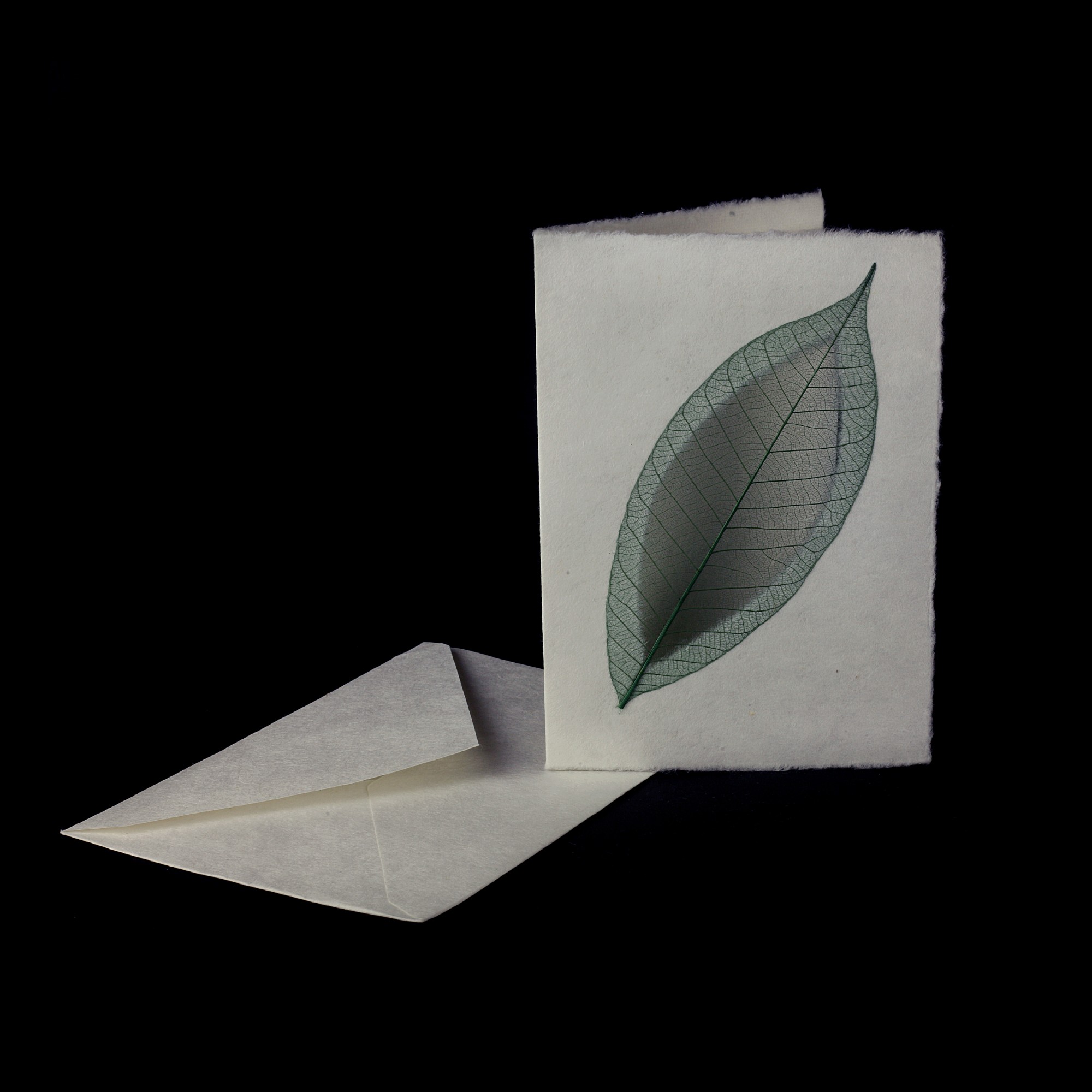 Grußkarte 'Rubber Leaf Green', B 12 cm, H 17 cm günstig bestellen
