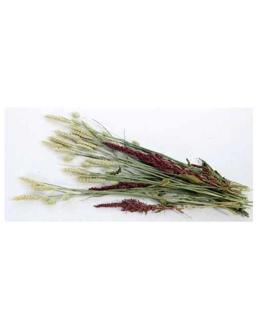 Esve Pet Bouquet Knabbelstruik - Knaagdiersnack - 100 g