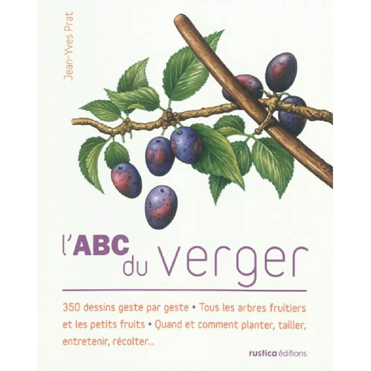 L'abc du verger : 350 dessins geste par geste, tous les arbres fruitiers et les petits fruits, quand et comment planter, tailler, entretenir, récolter... · Occasion