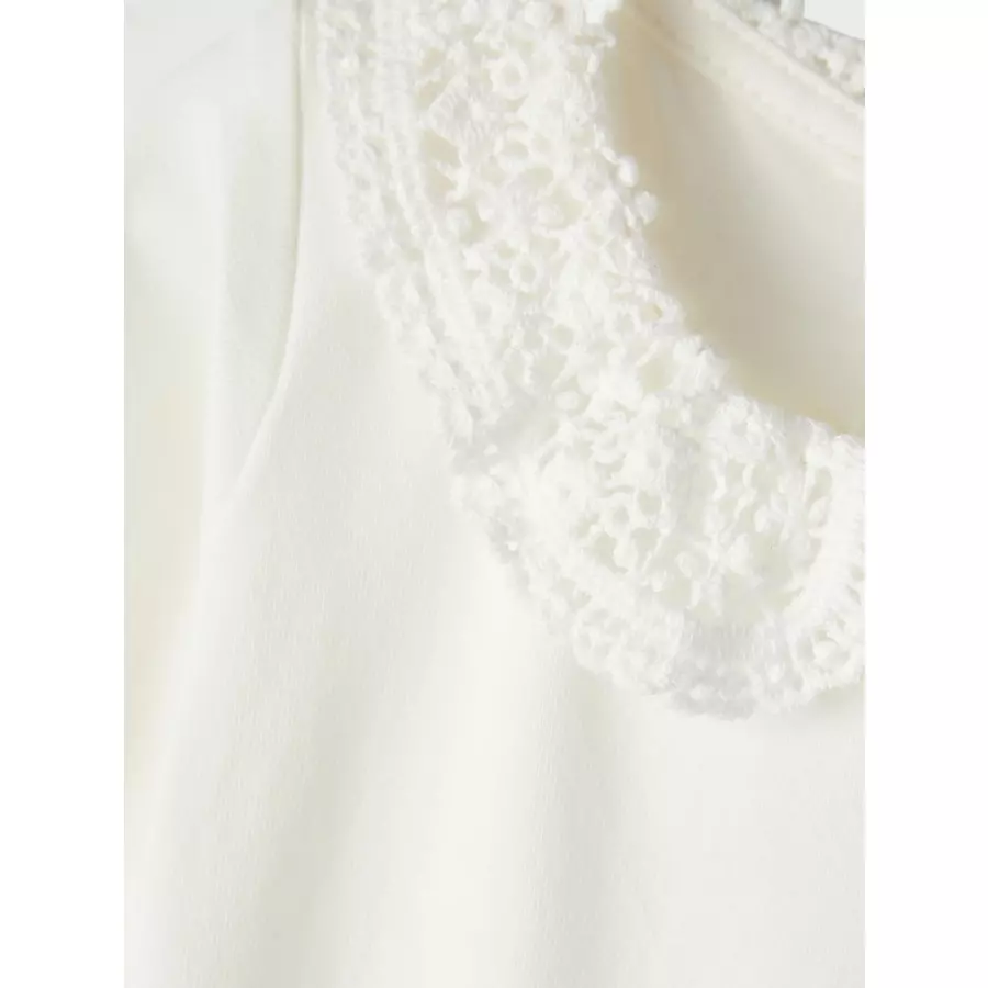 name it Langarmbody Nbftylla White Alyssum
