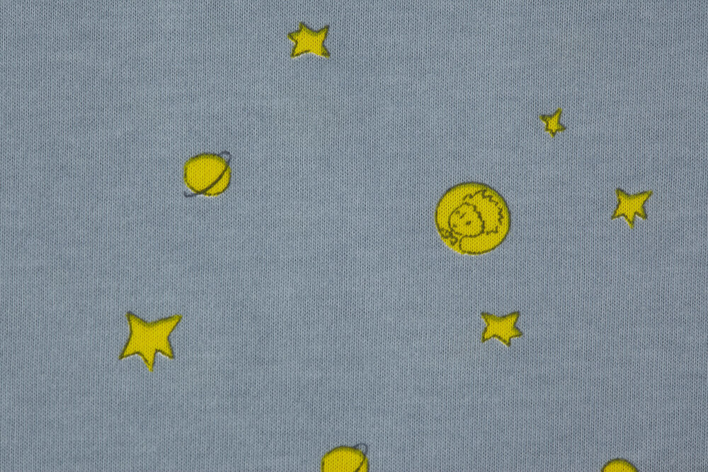 ALVI Reisedecke Organic Cotton Der kleine Prinz® 80x80