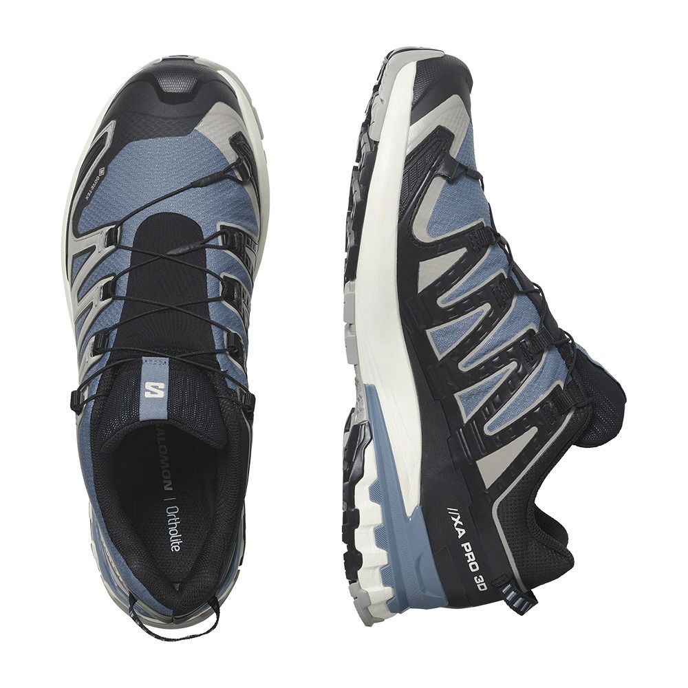 Salomon XA PRO 3D V9 GTX - Chaussures trail Homme flint stone/black/ghost gray