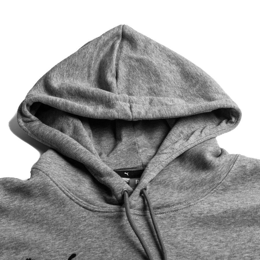 PUMA Sweat à Capuche teamGOAL 23 Casuals - Gris/Noir