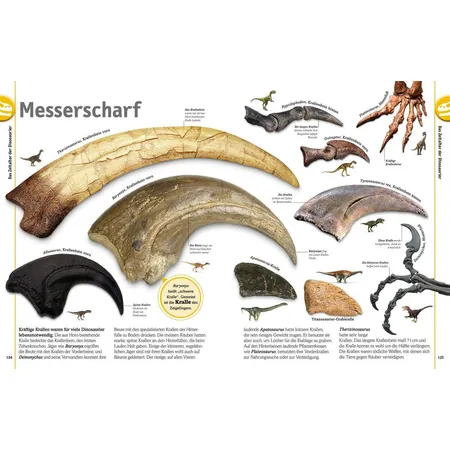 DK Verlag Dinosaurier: Lebewesen und Fossilien der Urzeit in über 1000 Bildern