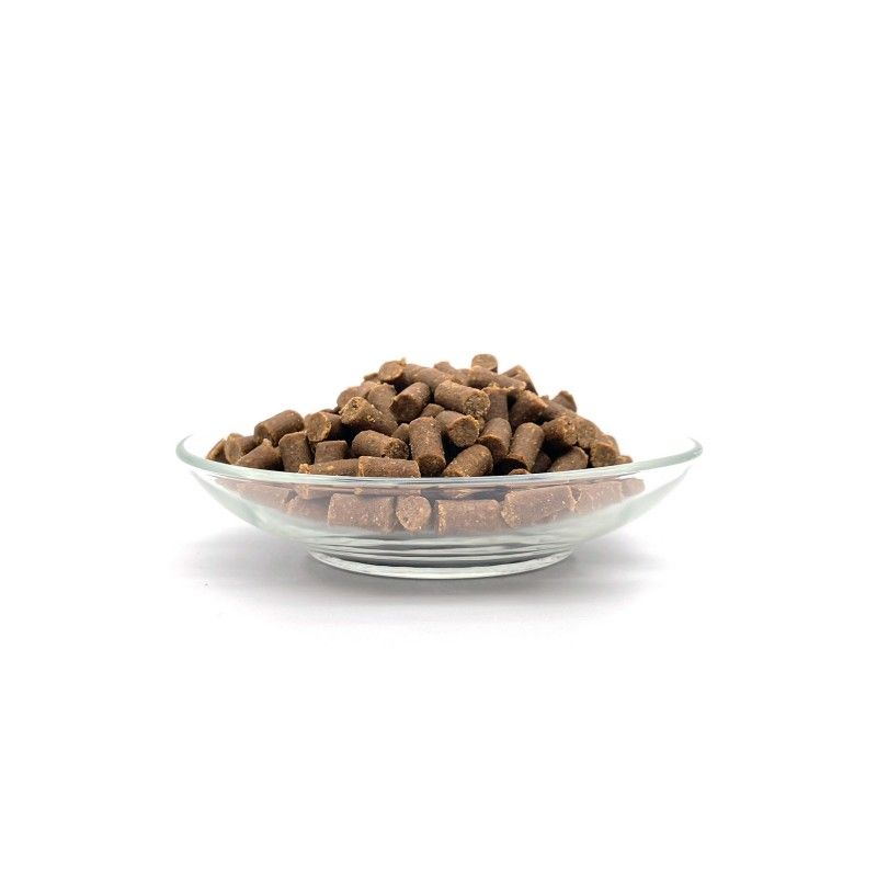 Bellfor Deutschen Schäferhund Futter Set