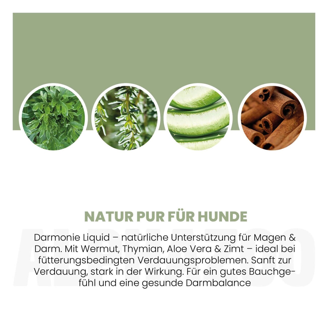 ALPHAZOO Magen-Darm Liquid Darmonie 100 ml I Hund