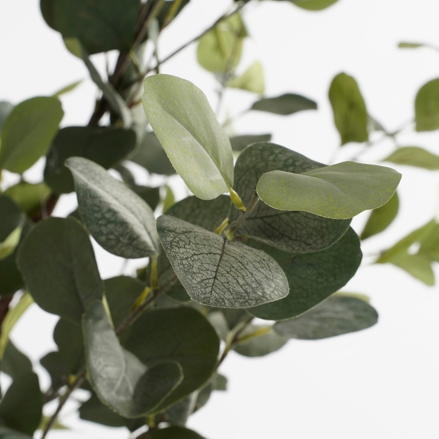 Mica Decorations kunstplant Eucalyptus groen H 95 D 55 cm