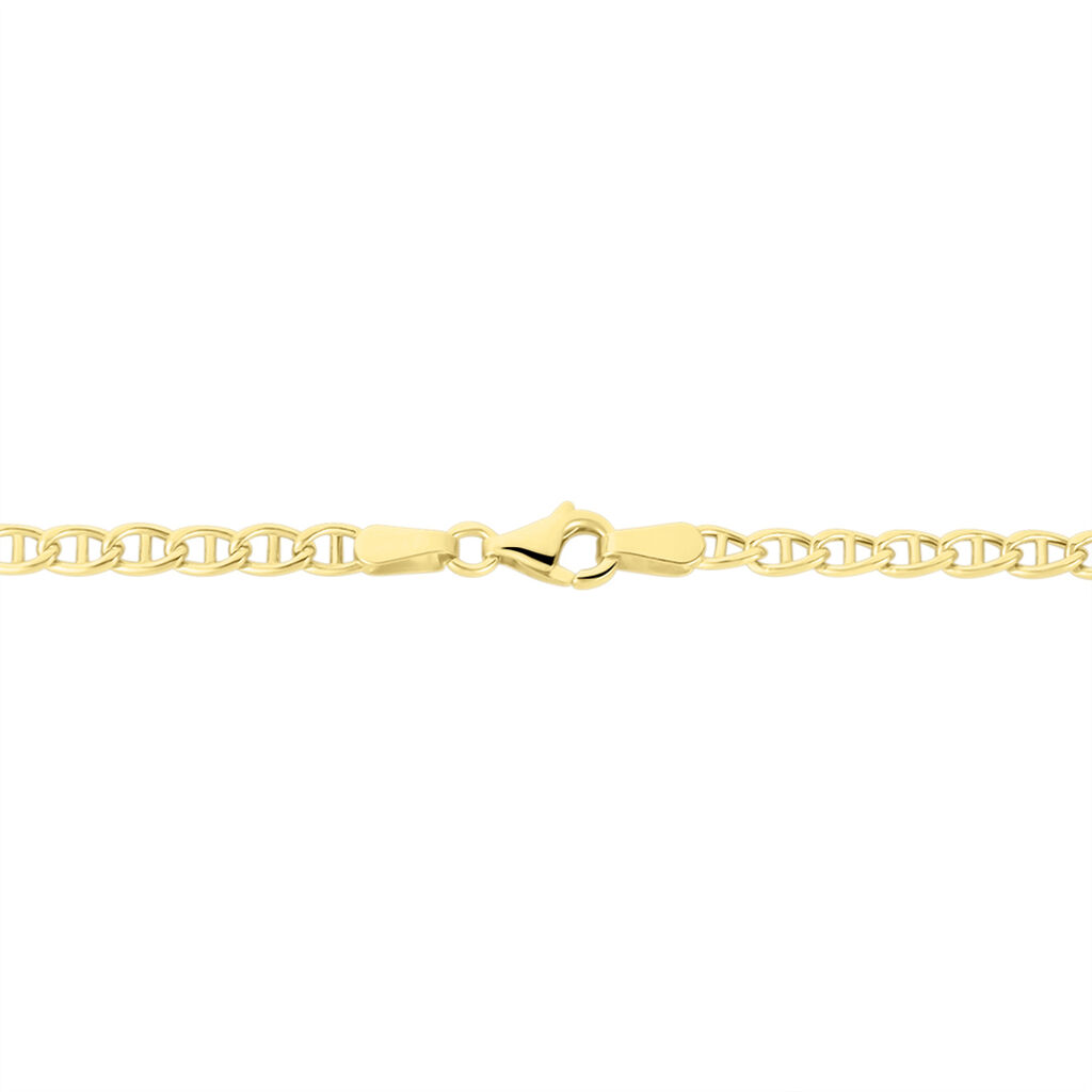 Collier Capucin Maille Marine Plate Or Jaune
