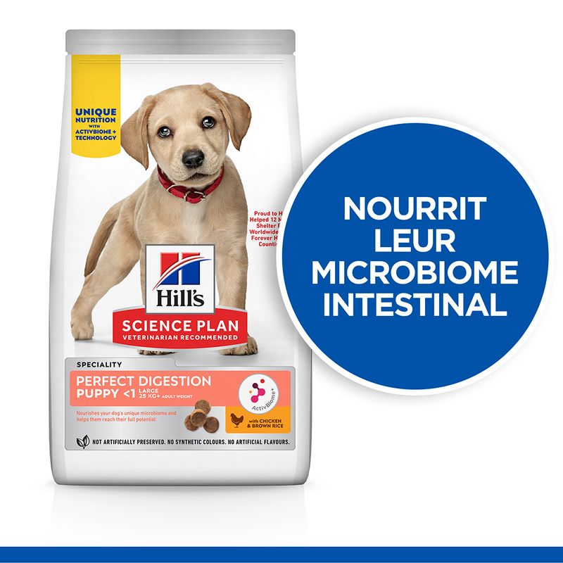 Hill's Science Plan Large Puppy Perfect Digestion