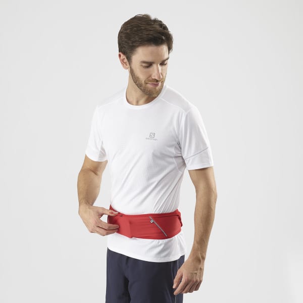 Ceinture porte gourde SALOMON PULSE BELT GOJI BERRY