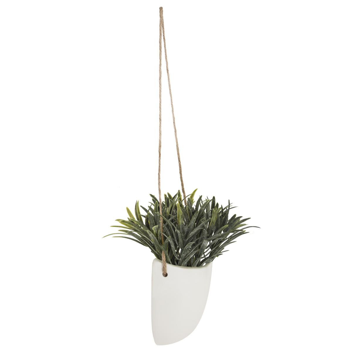 PLANTE MURALE A SUSPENDRE CERAMIQUE H.20CM