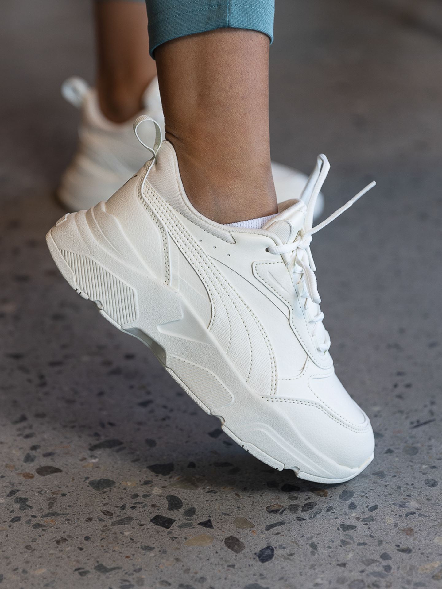 Cassia SL