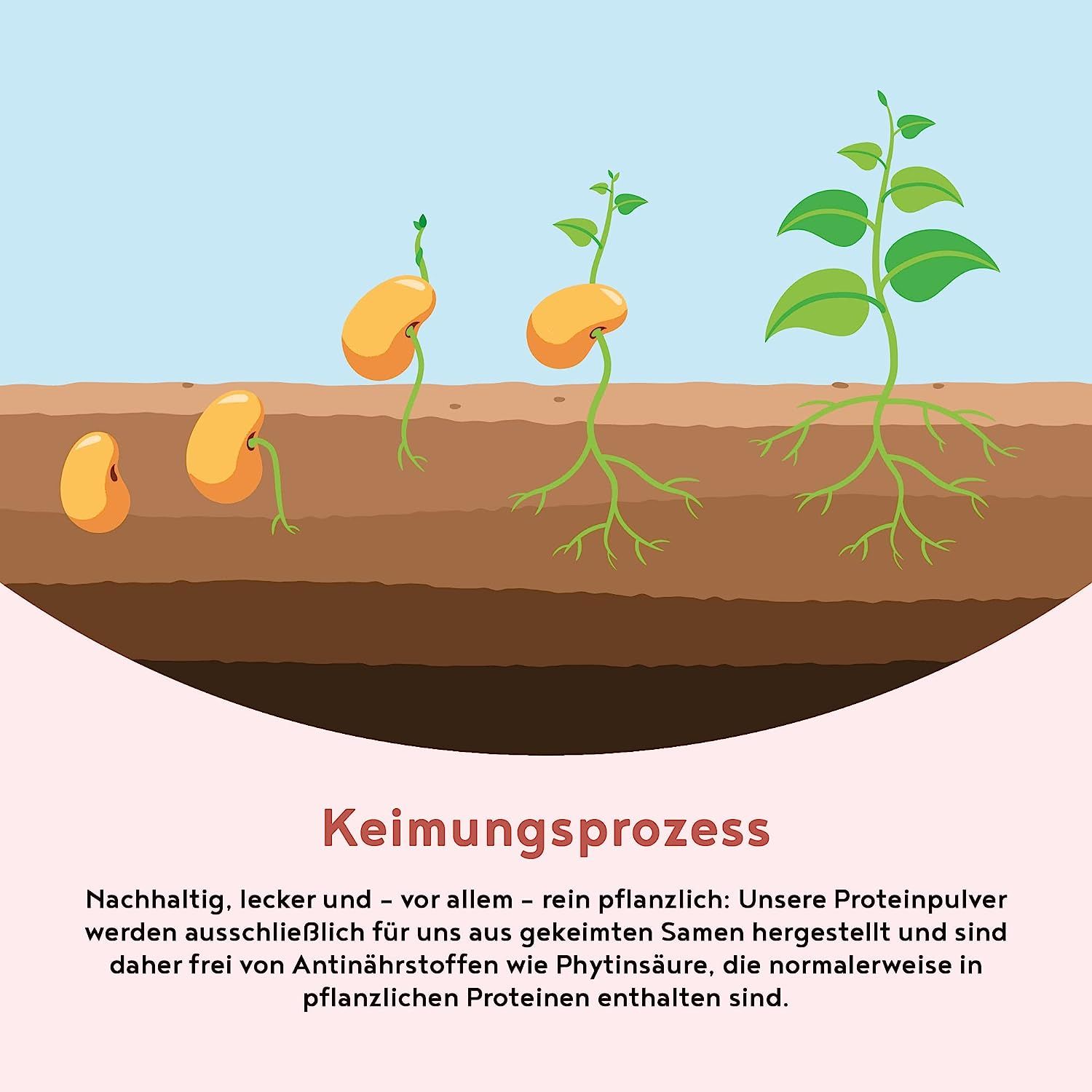 Vegan Protein - ERDBEERE - Pflanzliches Proteinpulver