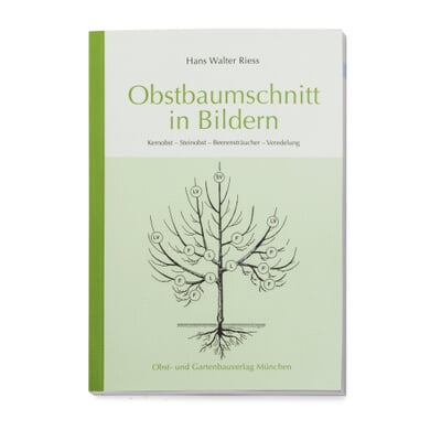 Obstbaumschnitt in Bildern