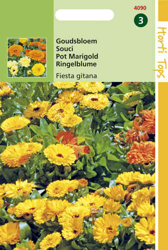 Hortitops Goudbloem Fiesta Gitana - Bloemzaden