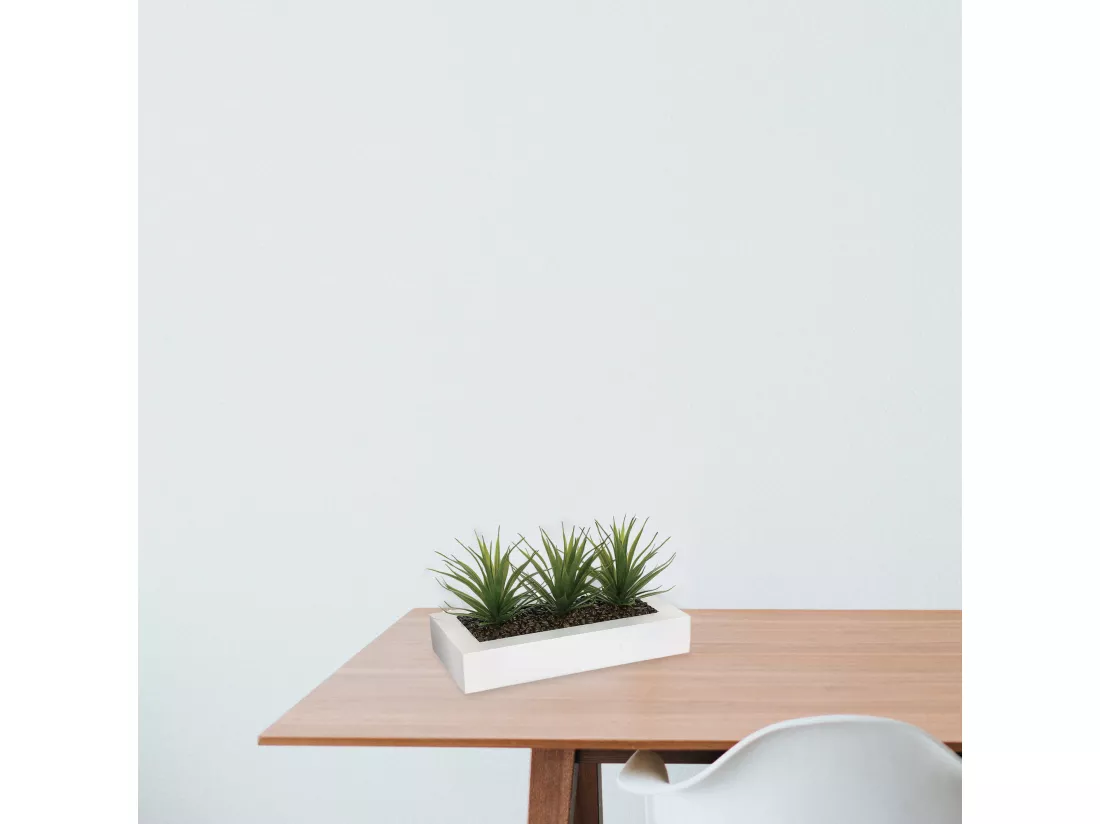 Centre de table - 3 aloe vera - l.35 x p.14,8 x h.17, vert