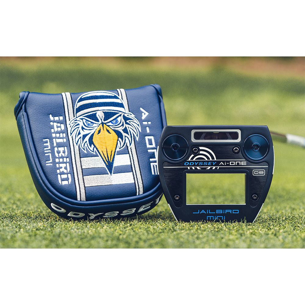 Ai-ONE Jailbird Mini DB Putter