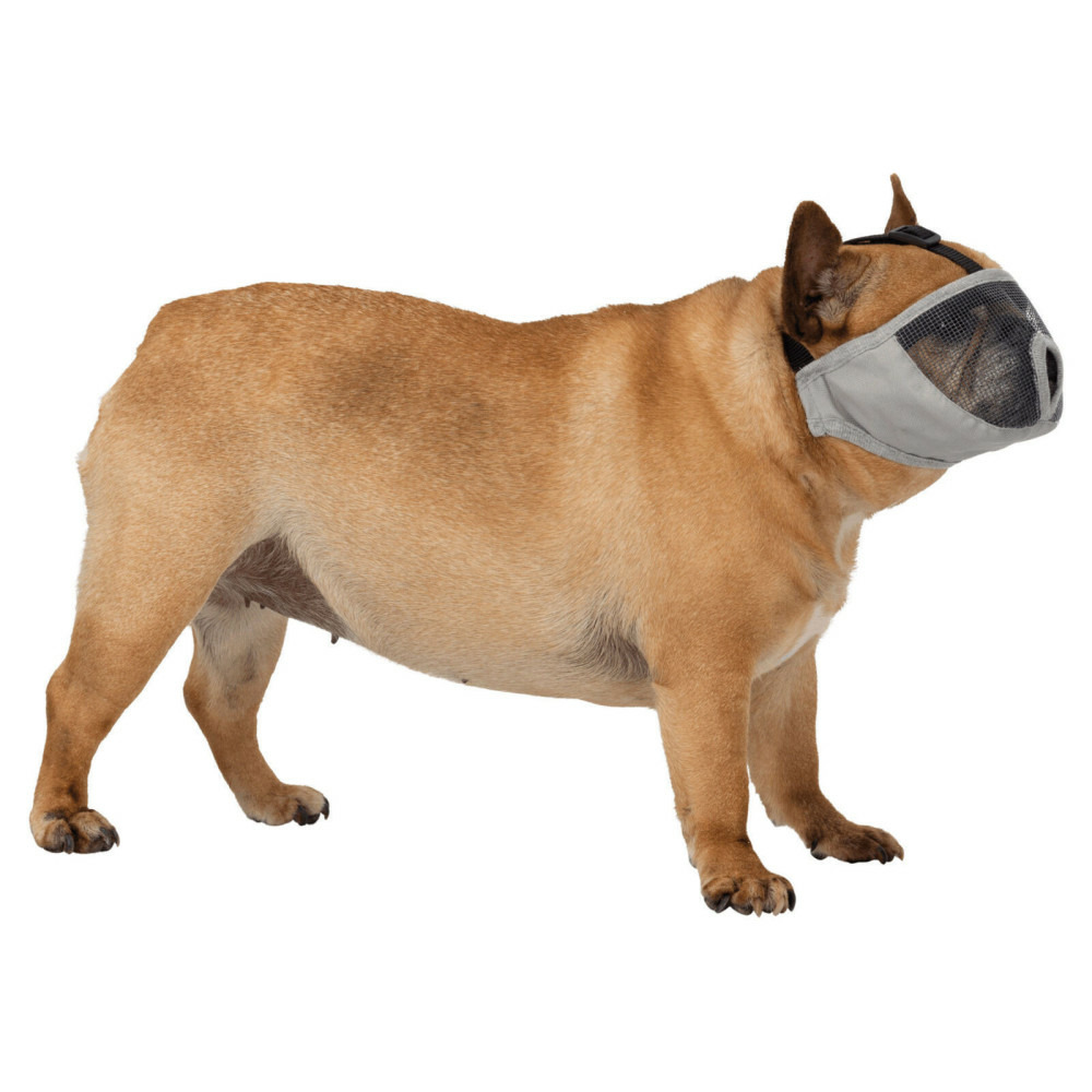 Muselière taille s pour les races de chien à nez court